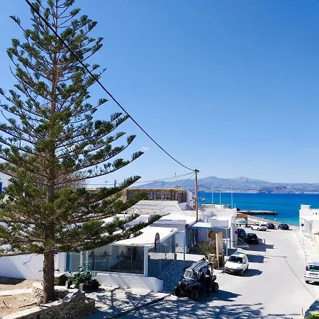 Apartment Sea View Spacious 50m From Beach *